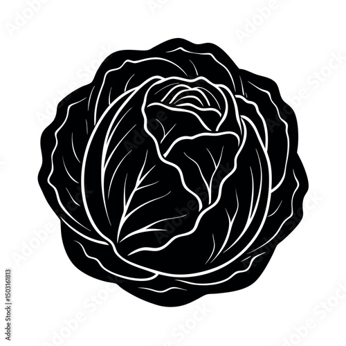 red cabbage vector silhouette