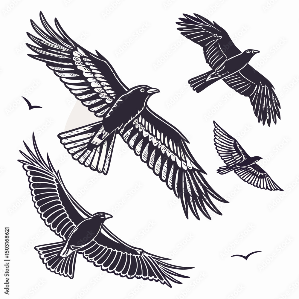 Obraz premium Detailed hand drawn style infographic of various eagle