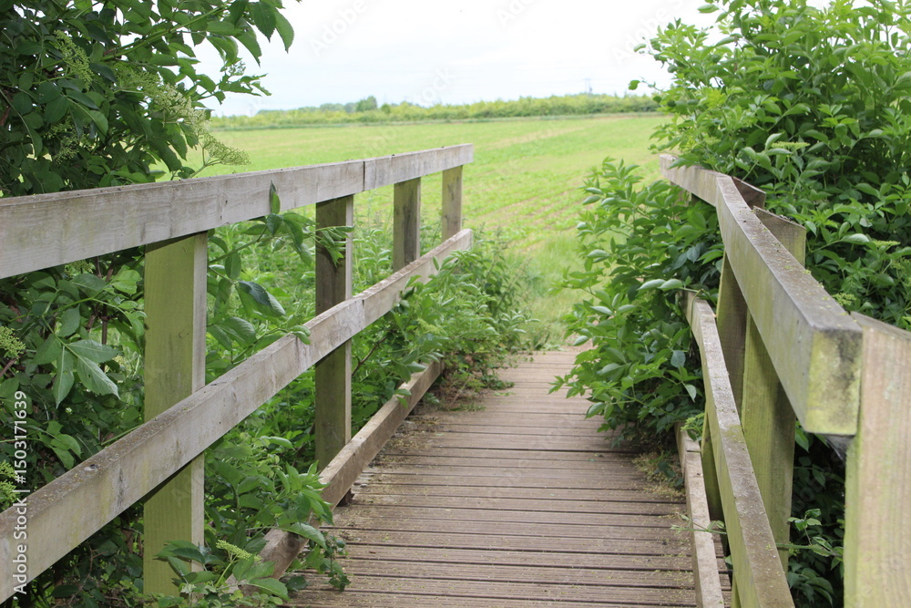 Fototapeta premium Wooden footbridge