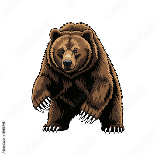 brown bear vector illustration on white background