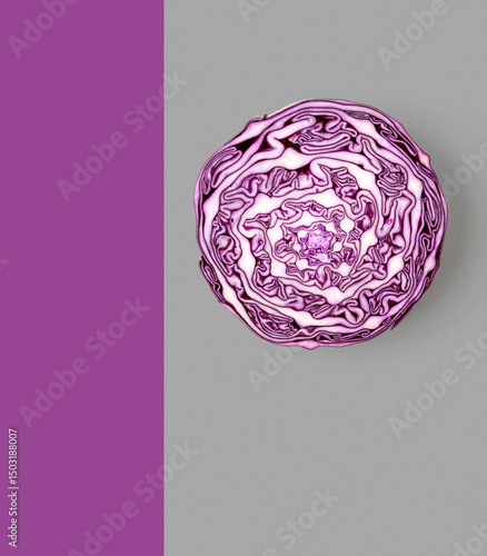 Red cabbage slice photography abstract poster on grey and purple background.