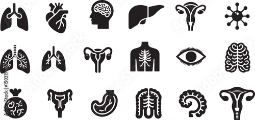 human organ anatomy icon set vector glyph black vector illustration eps
