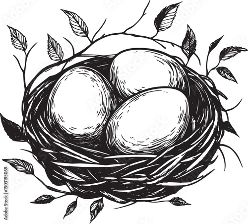 nest wit eggs vector