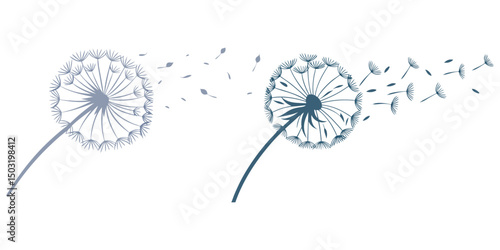 An abstract dandelion bursts, its delicate white and feathery grey seeds scattering on the wind