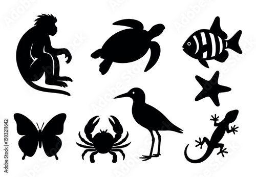 Zanzibar wildlife icons set – silhouette, animal and nature symbols for designs