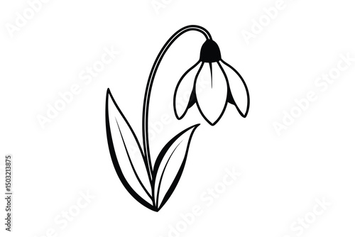 Elegant black and white snowdrop flower illustration