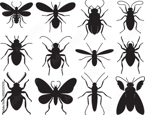 Collection of black insect silhouettes various bugs