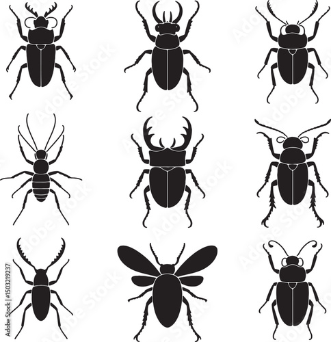 Collection of nine black silhouettes of beetles