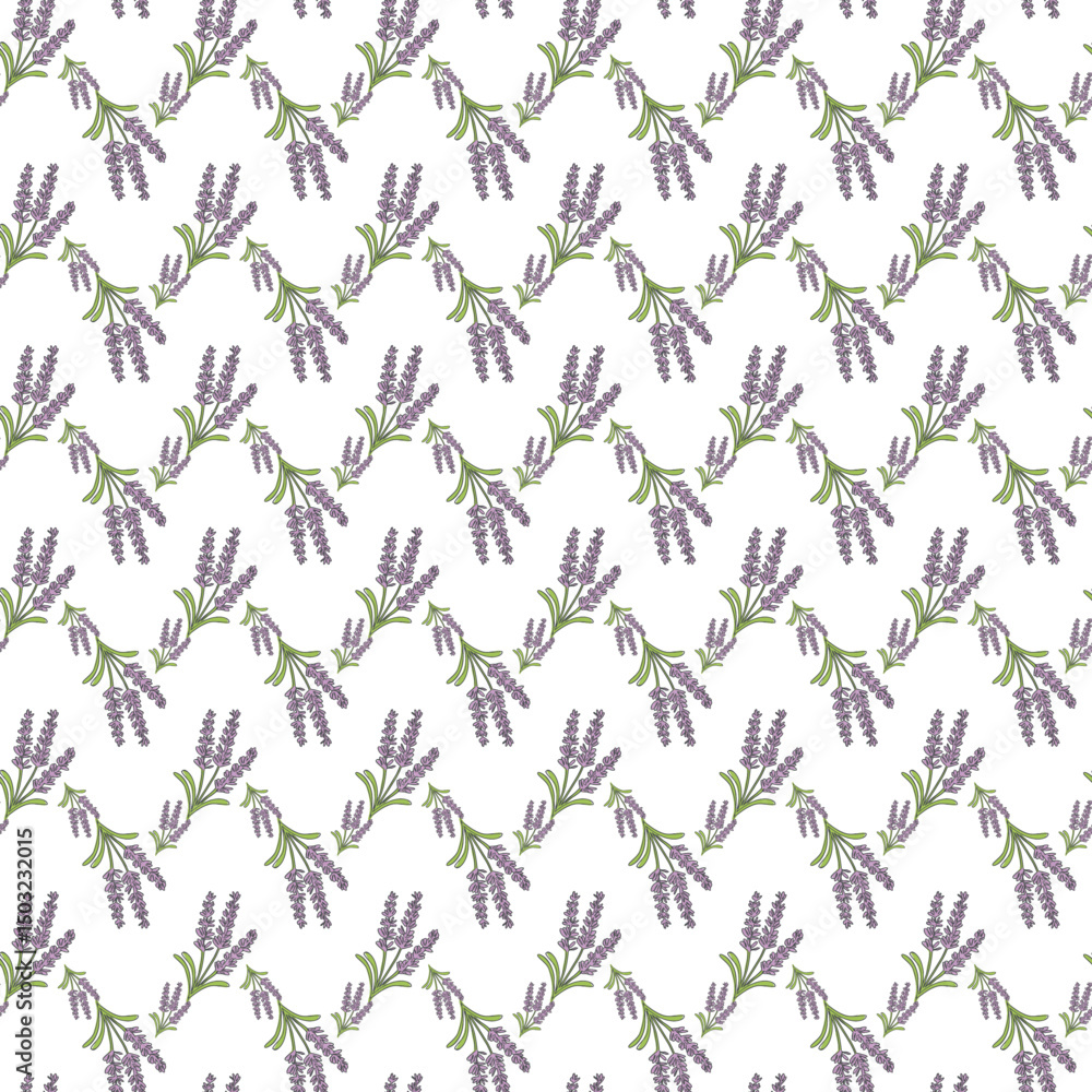 Seamless Pattern with Lavender Floral Design on White Background Seamless Pattern with Lavender Floral Design on White Background