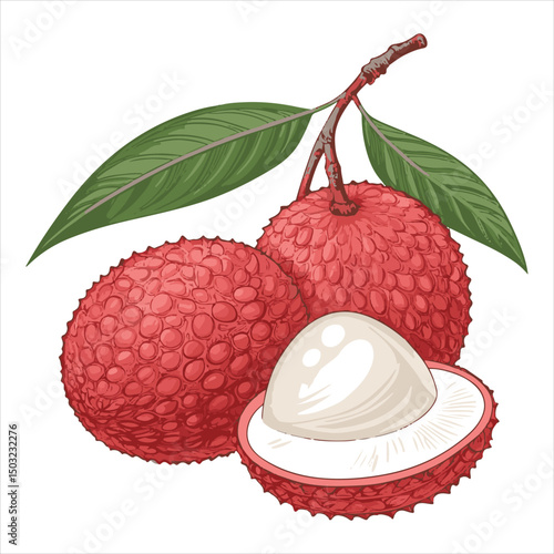 lychee Vector 