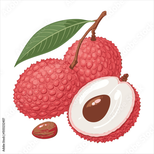 lychee Vector 