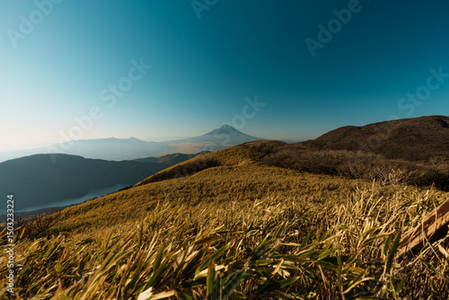 Mount Fuji View from Hakone Mototsumiya Shrine Trail