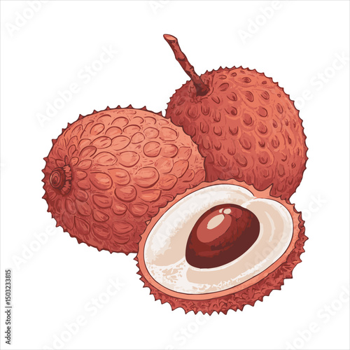 lychee Vector 