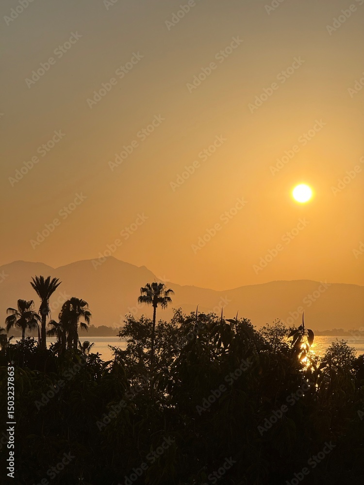 Obraz premium Golden dawn over the sea and mountains, with silhouettes of tropical plants. The beginning of a hot and sunny day.