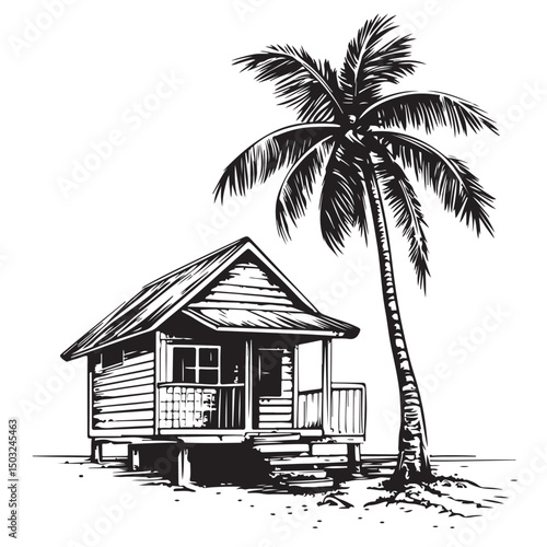 wooden house with coconut tree vector image