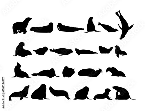 Pinnipeds or Seals Group Silhouette, can use for Logo, Pictogram, Aquatic Animal, Poster or Graphic Design Element. Vector Illustration