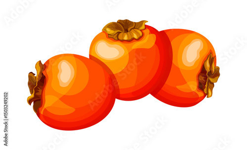 Set of juicy orange persimmons in cartoon style. Vector illustration of a group of whole sweet, fresh persimmons with stems isolated on white background. Useful berries. Seasonal fruits.
