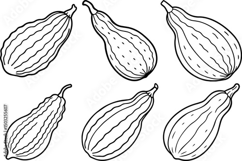 Set of bitter gourd outline coloring book page line art vector illustration