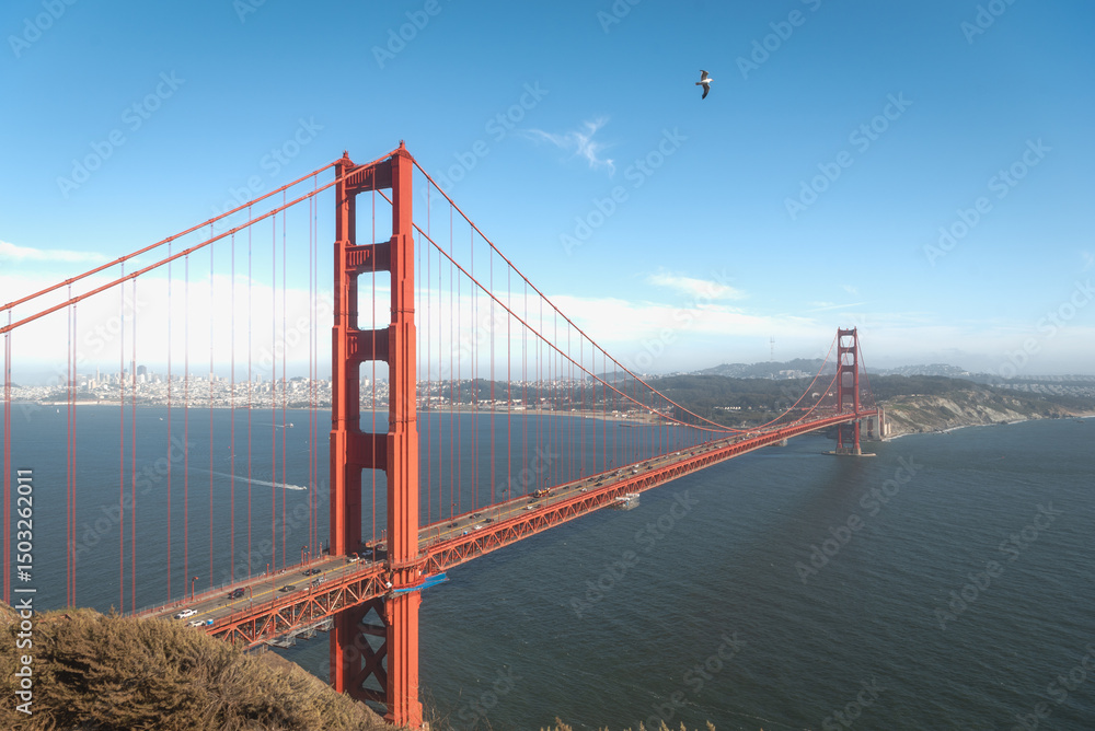 Fototapeta premium golden gate bridge san francisco
