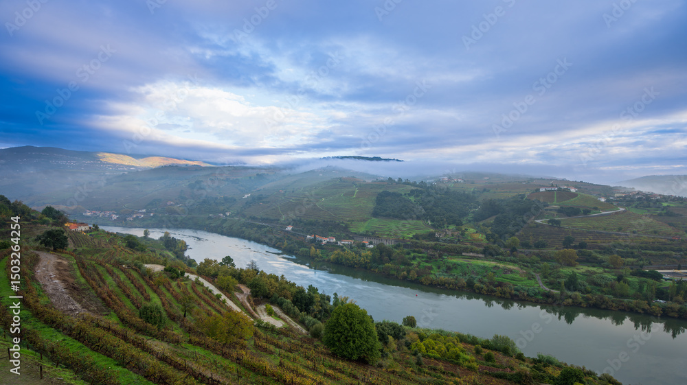 Fototapeta premium Panoramic view from a hilltop hotel balcony overlooking the serene Douro River winding through picturesque vineyards near Lamego, Portugal.