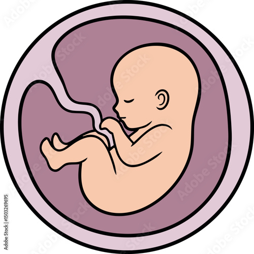 Human fetus in womb vector illustration with pink and purple colors natural flow 