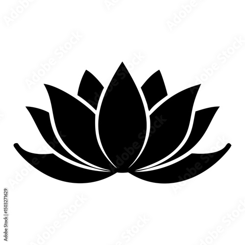 Elegant black and white lotus flower, a symbol of purity and awakening