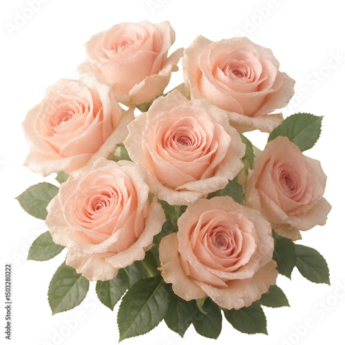 Ethereal Rose Bouquet: A captivating bouquet of soft, peach-toned roses unfolds, their delicate petals displaying the sublime beauty of floral arrangement , isolated on transparent or white background