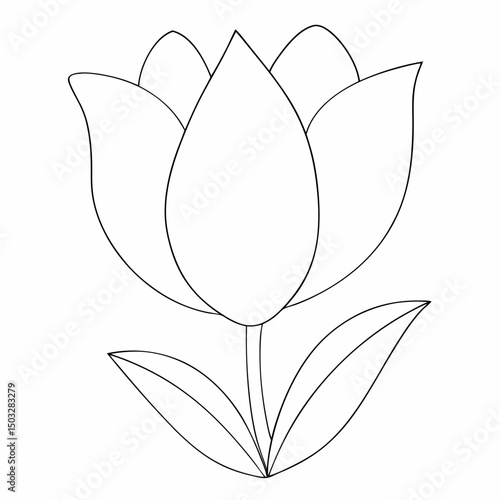 Tulip simple and minimal line art illustration on white background 