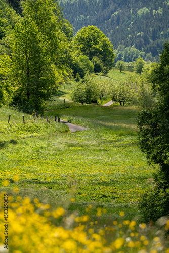 A winding cycle path through green meadows in a nature reserve