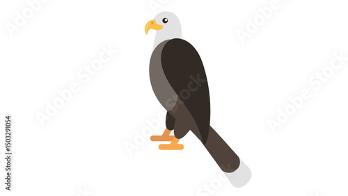 bird of prey