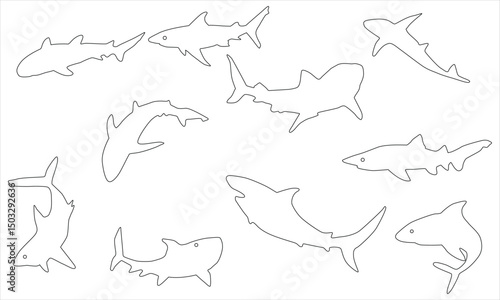 Shark line art, shark  silhouette outline vector