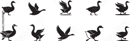 Goose silhouettes collection various poses flight walking. eps-10