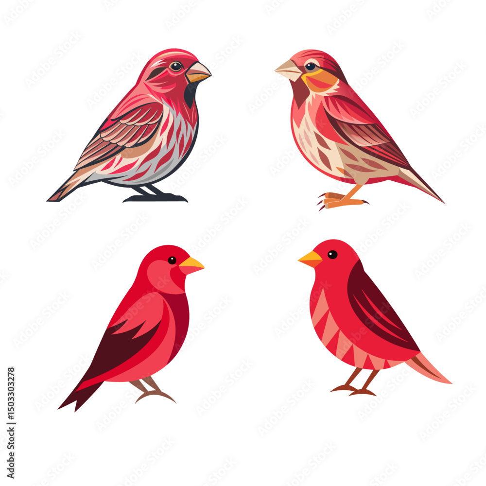 Fototapeta premium set of red cardinal
