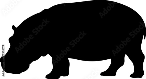 hippopotamus silhouette and line art vector illustration 