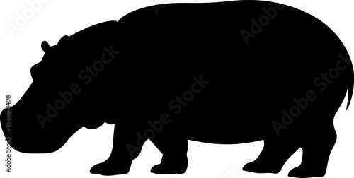 hippopotamus silhouette and line art vector illustration 