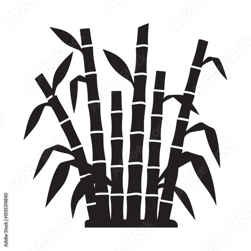 Sugarcane silhouette vector illustration with detailed stalks and leaves  Silhouette white Background.