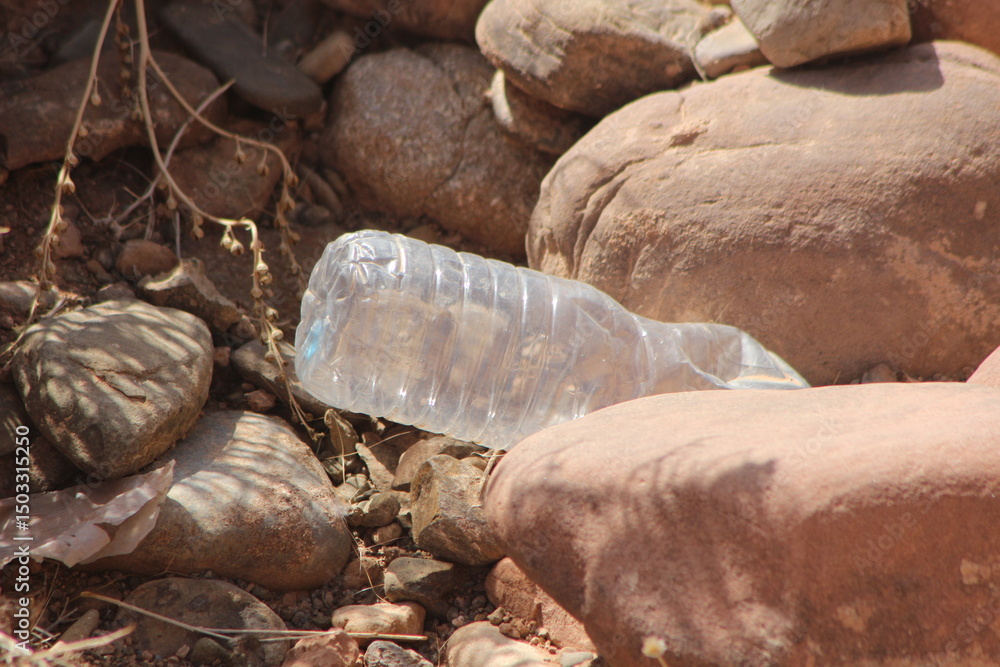 Fototapeta premium A plastic bottle lying on the ground, Plastic pollution, Plastic environmental impact