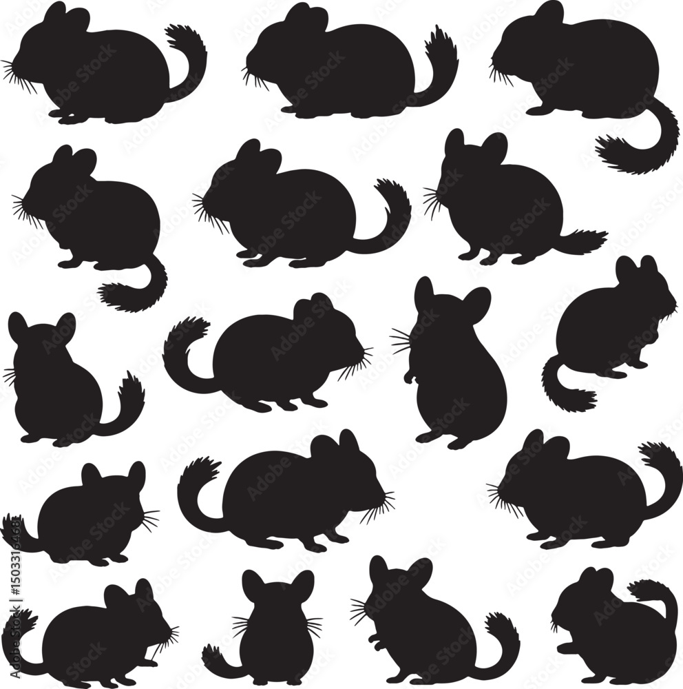 Fototapeta premium Adorable chinchilla silhouettes collection cute rodents