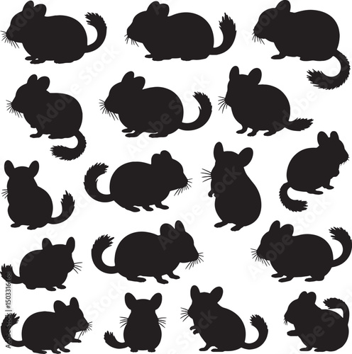 Adorable chinchilla silhouettes collection cute rodents