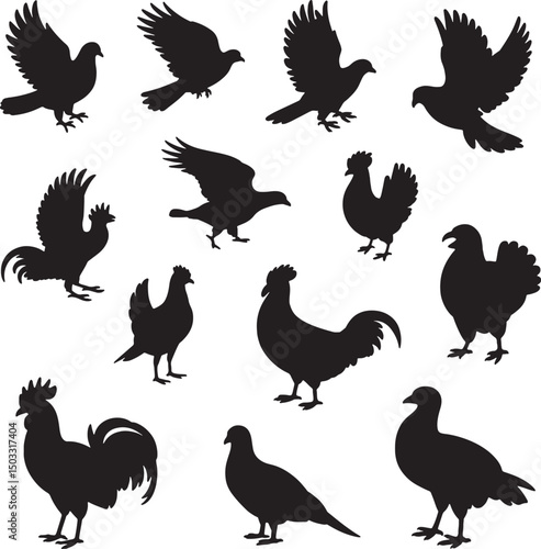 Silhouettes of various domestic birds roosters hens pigeons