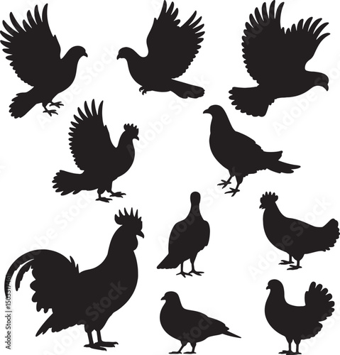 Silhouettes of various birds pigeons chickens rooster