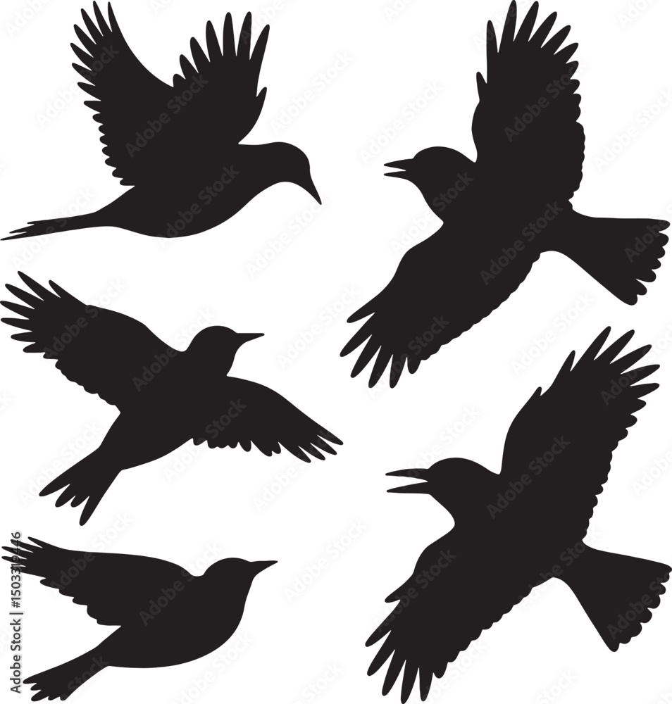 Obraz premium Five silhouettes of birds in flight soaring free