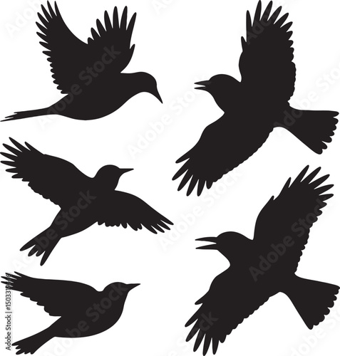 Five silhouettes of birds in flight soaring free