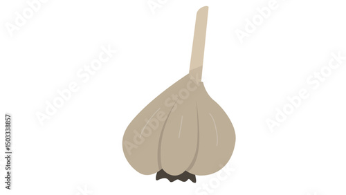 wooden spoon on white background