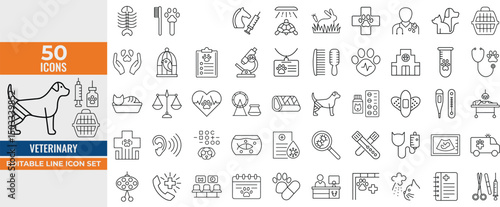 Veterinary Icon Set – Vector Illustrations of Pet Care, Medical History, Vaccinations, Diagnostics, X-Rays, and Animal Health Services