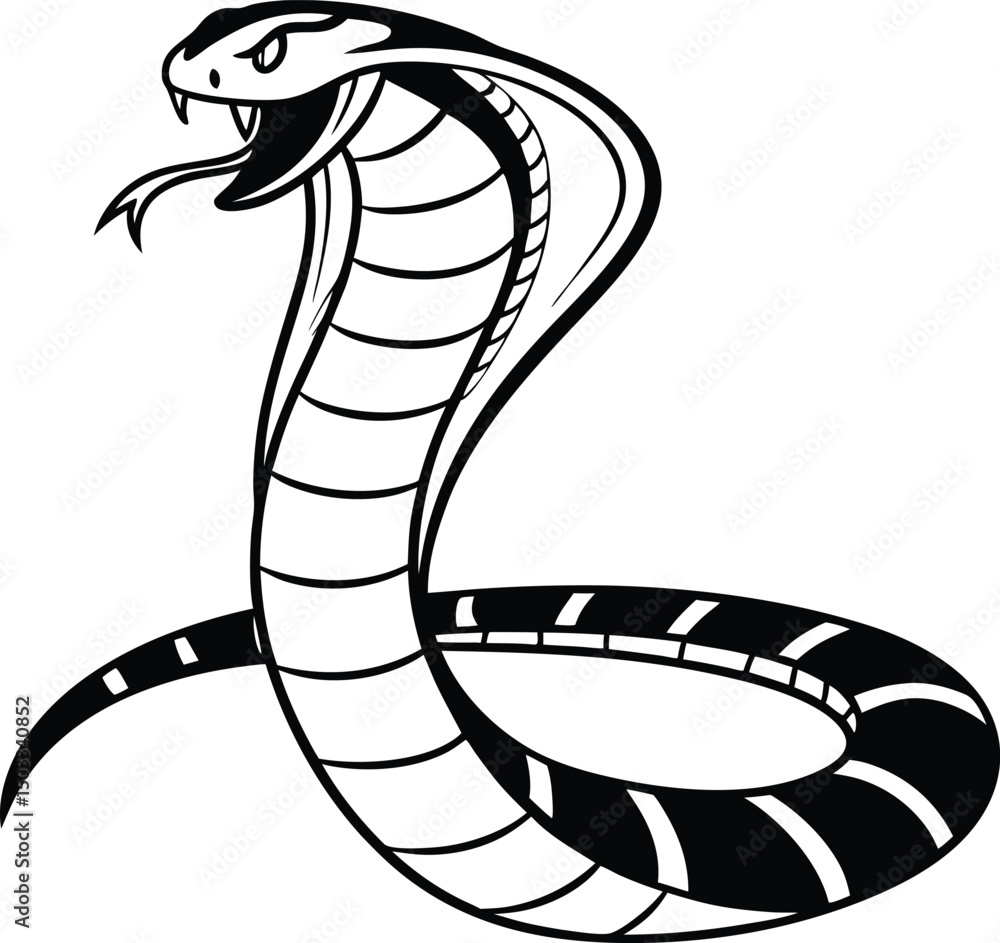 Fototapeta premium vector illustration of a snake