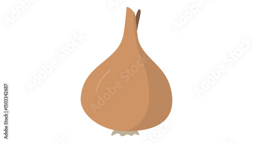 onion isolated on white