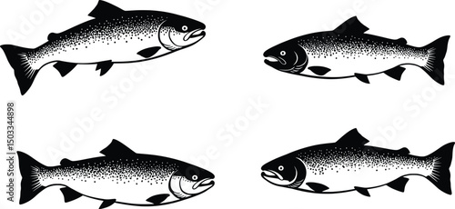 Salmon Silhouette Illustration Vector Graphics of Fish