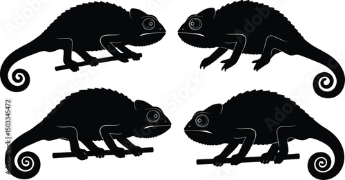 Elegant Chameleon Silhouettes Vector Illustration Set