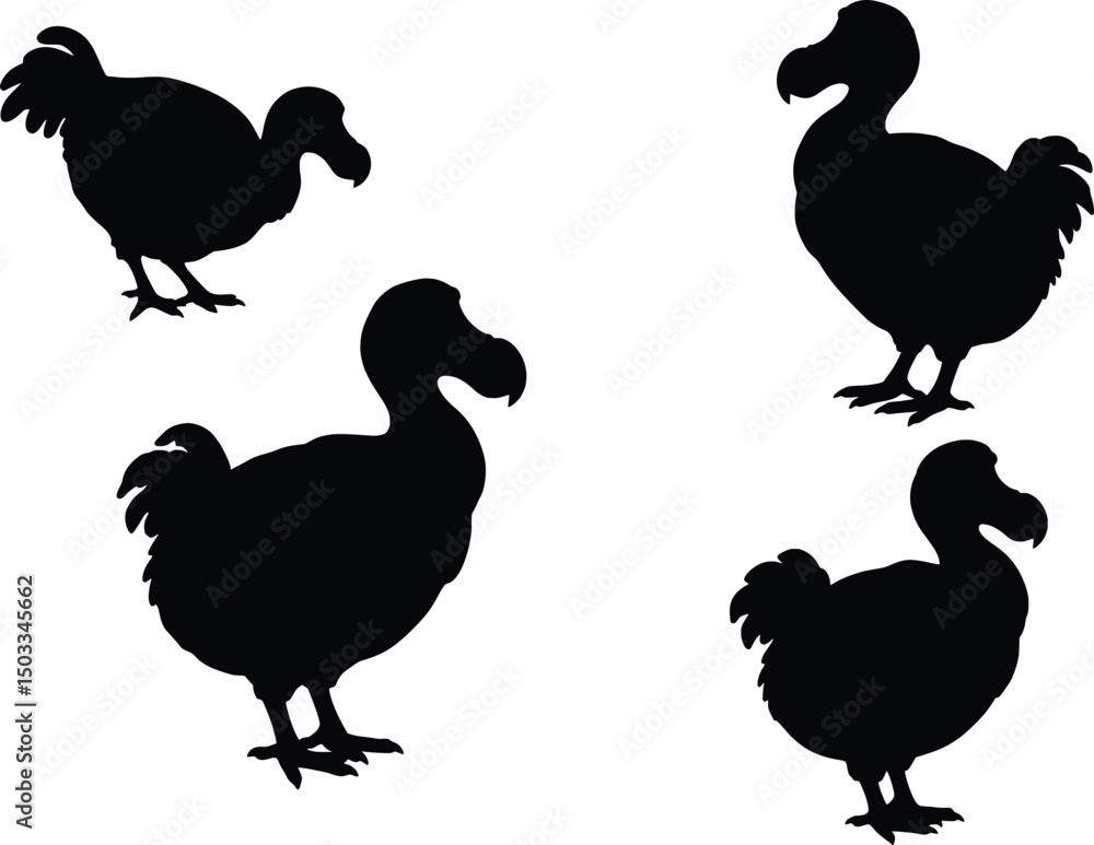 Fototapeta premium Dodo Bird Silhouette Vector Illustration of Extinct Birds